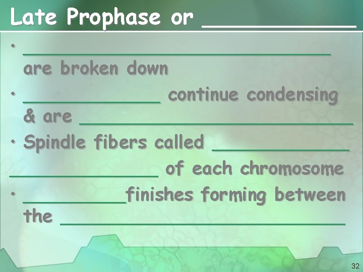 Late Prophase or ______ • ______________ are broken down • ______ continue condensing &