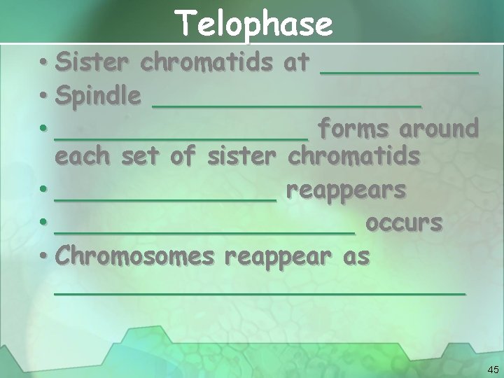 Telophase • Sister chromatids at _____ • Spindle _________ • ________ forms around each