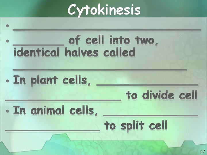 Cytokinesis • _____________ • _______ of cell into two, identical halves called ____________ •