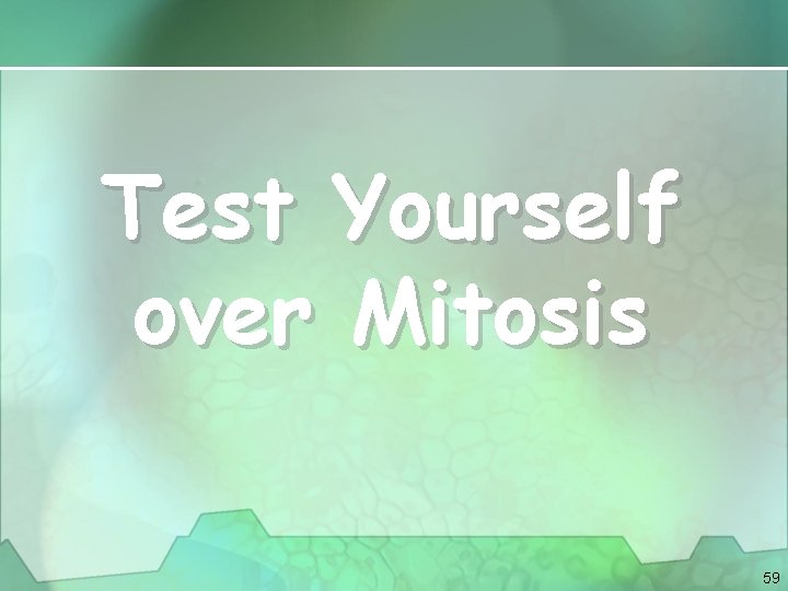 Test Yourself over Mitosis 59 