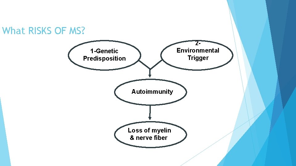 What RISKS OF MS? 2 Environmental Trigger 1 -Genetic Predisposition Autoimmunity Loss of myelin What RISKS OF MS? 2 Environmental Trigger 1 -Genetic Predisposition Autoimmunity Loss of myelin