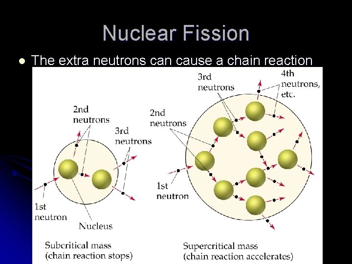 Nuclear Fission l The extra neutrons can cause a chain reaction 