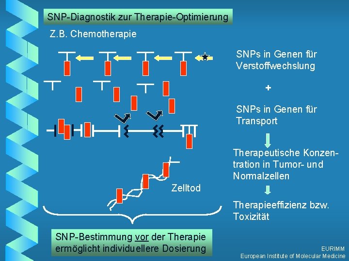 SNP-Diagnostik zur Therapie-Optimierung Z. B. Chemotherapie SNPs in Genen für Verstoffwechslung + SNPs in