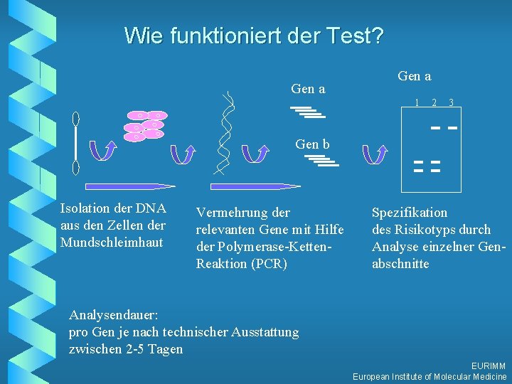 Wie funktioniert der Test? Gen a 1 2 3 Gen b Isolation der DNA