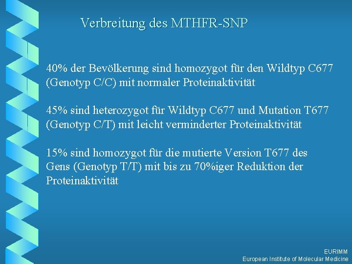 Verbreitung des MTHFR-SNP 40% der Bevölkerung sind homozygot für den Wildtyp C 677 (Genotyp