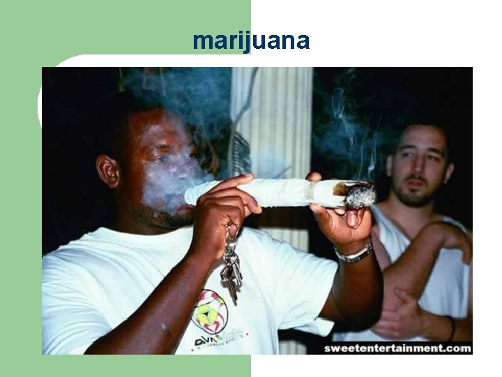 marijuana 