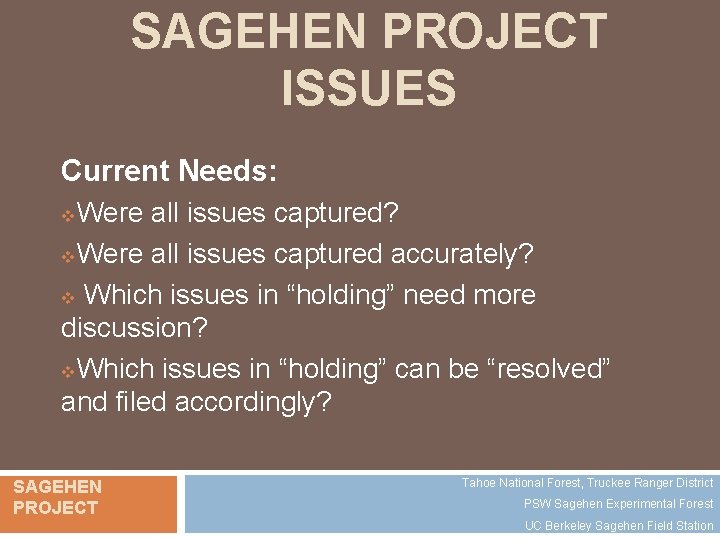 SAGEHEN PROJECT ISSUES Current Needs: Were all issues captured? v. Were all issues captured