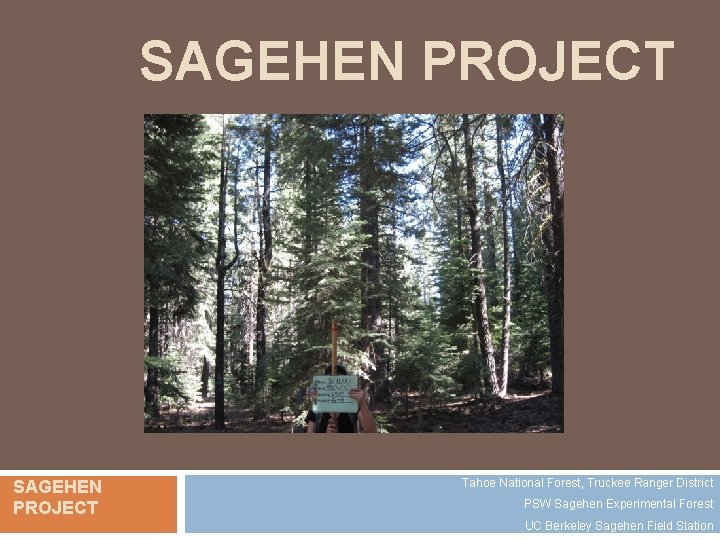 SAGEHEN PROJECT Tahoe National Forest, Truckee Ranger District PSW Sagehen Experimental Forest UC Berkeley