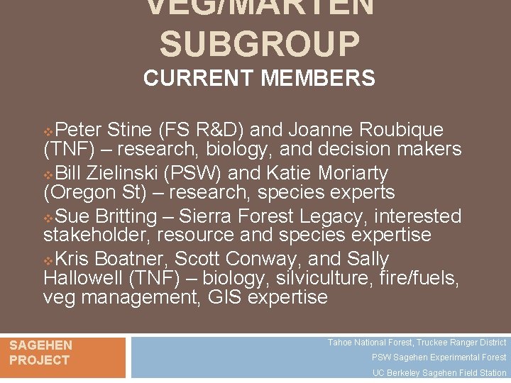 VEG/MARTEN SUBGROUP CURRENT MEMBERS Peter Stine (FS R&D) and Joanne Roubique (TNF) – research,