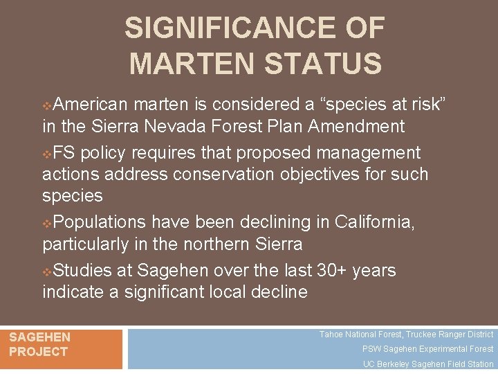 SIGNIFICANCE OF MARTEN STATUS American marten is considered a “species at risk” in the