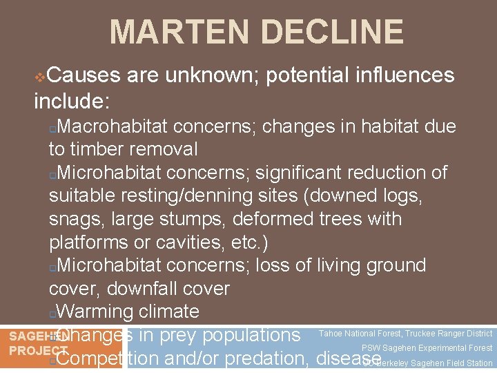 MARTEN DECLINE Causes are unknown; potential influences include: v Macrohabitat concerns; changes in habitat