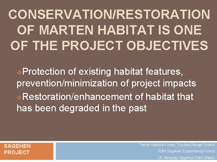 CONSERVATION/RESTORATION OF MARTEN HABITAT IS ONE OF THE PROJECT OBJECTIVES Protection of existing habitat