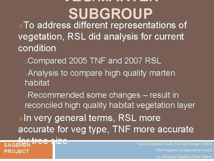 VEG/MARTEN SUBGROUP To address different representations of vegetation, RSL did analysis for current condition