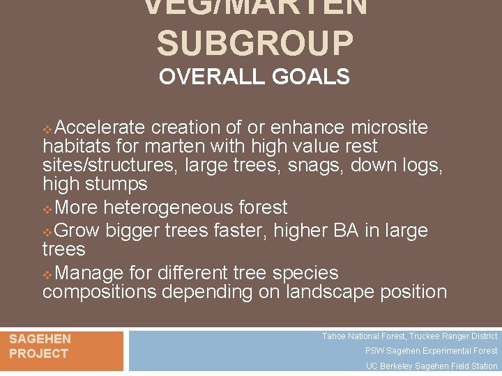 VEG/MARTEN SUBGROUP OVERALL GOALS Accelerate creation of or enhance microsite habitats for marten with