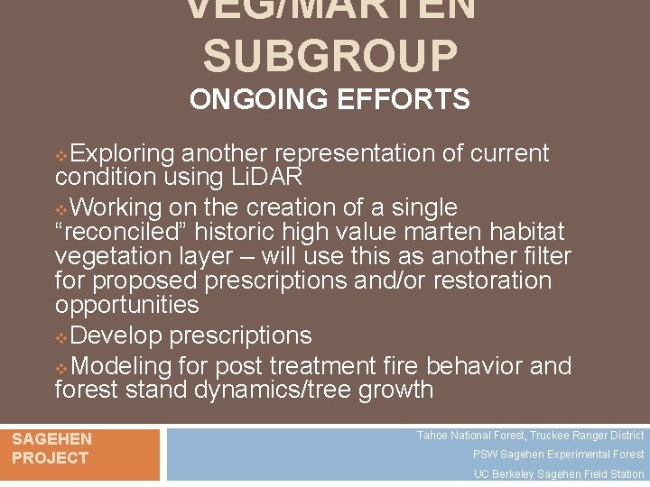 VEG/MARTEN SUBGROUP ONGOING EFFORTS Exploring another representation of current condition using Li. DAR v.