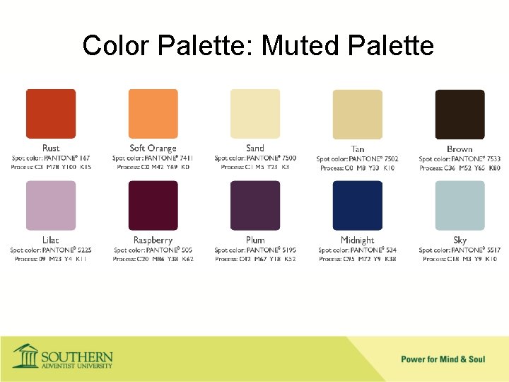Color Palette: Muted Palette 