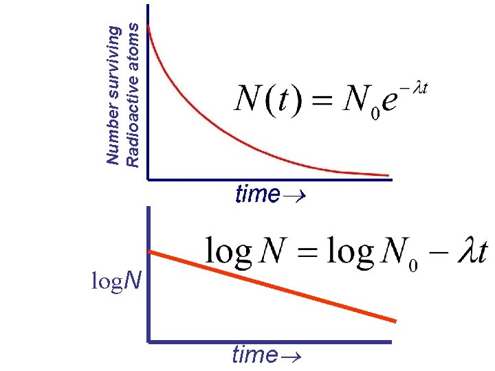 log. N time Number surviving Radioactive atoms log. N time Number surviving Radioactive atoms
