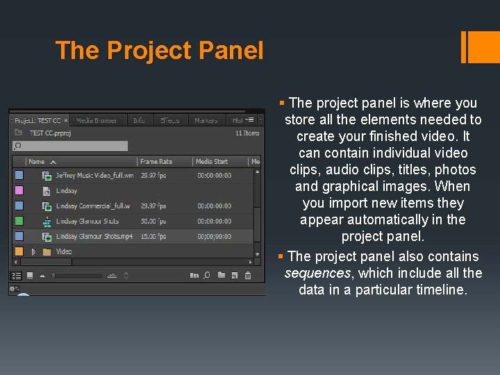 The Project Panel § The project panel is where you store all the elements