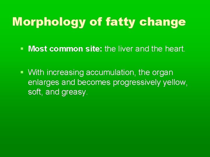 Morphology of fatty change Most common site: the liver and the heart. With increasing