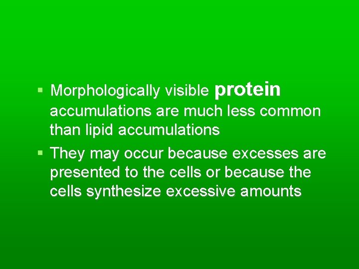  Morphologically visible protein accumulations are much less common than lipid accumulations They may