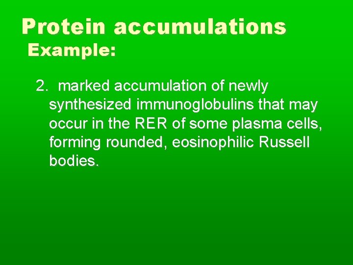 Protein accumulations Example: 2. marked accumulation of newly synthesized immunoglobulins that may occur in