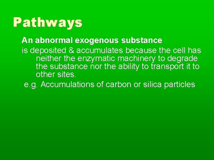 Pathways An abnormal exogenous substance is deposited & accumulates because the cell has neither