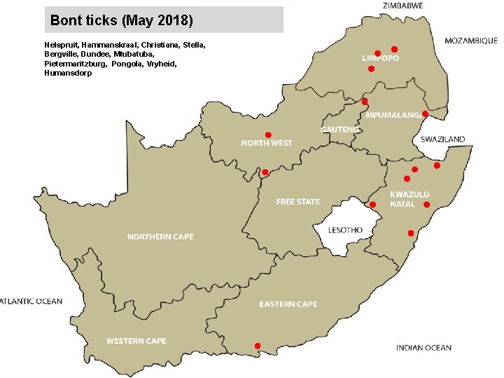 Bont ticks (May 2018) Nelspruit, Hammanskraal, Christiana, Stella, Bergville, Dundee, Mtuba, Pietermaritzburg, Pongola, Vryheid,