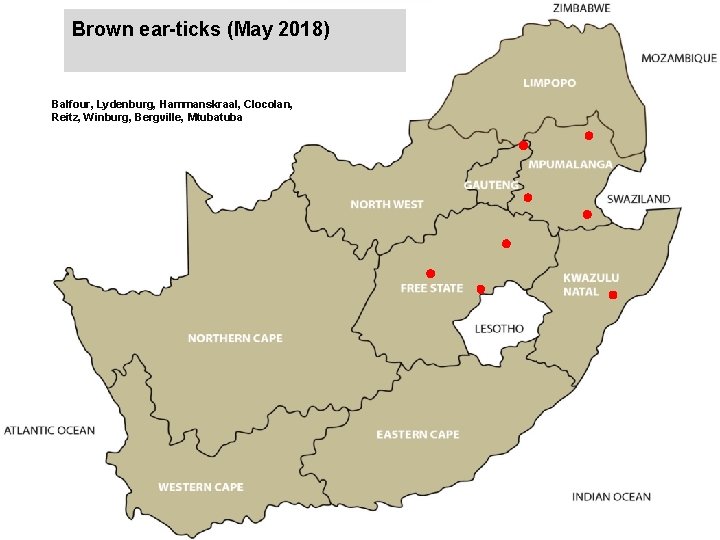 Brown ear-ticks (May 2018) jkccff Balfour, Lydenburg, Hammanskraal, Clocolan, Reitz, Winburg, Bergville, Mtuba 