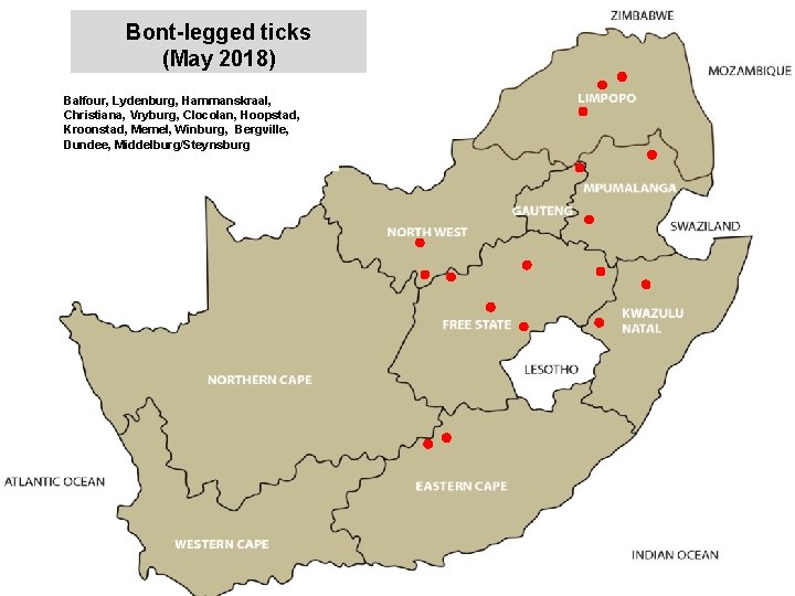 Bont-legged ticks (May 2018) Balfour, Lydenburg, Hammanskraal, Christiana, Vryburg, Clocolan, Hoopstad, Kroonstad, Memel, Winburg,