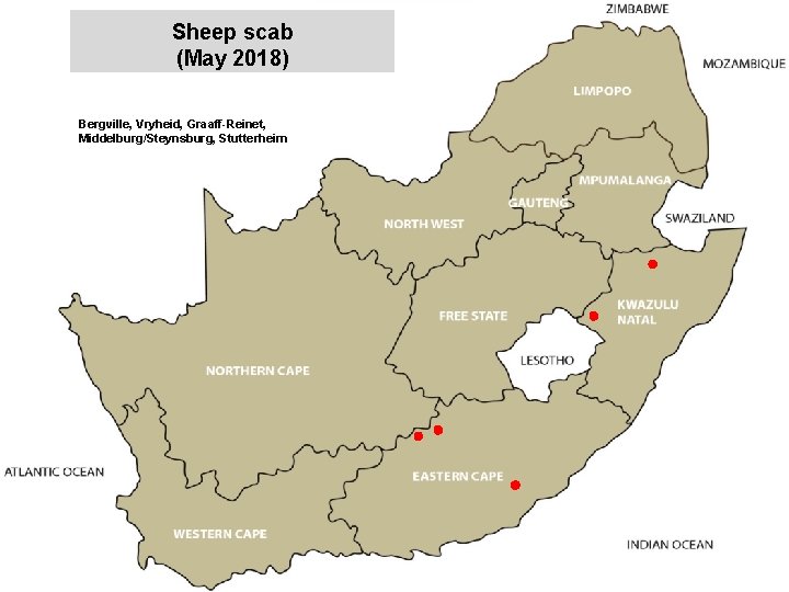 Sheep scab (May 2018) Bergville, Vryheid, Graaff-Reinet, Middelburg/Steynsburg, Stutterheim jkccff 