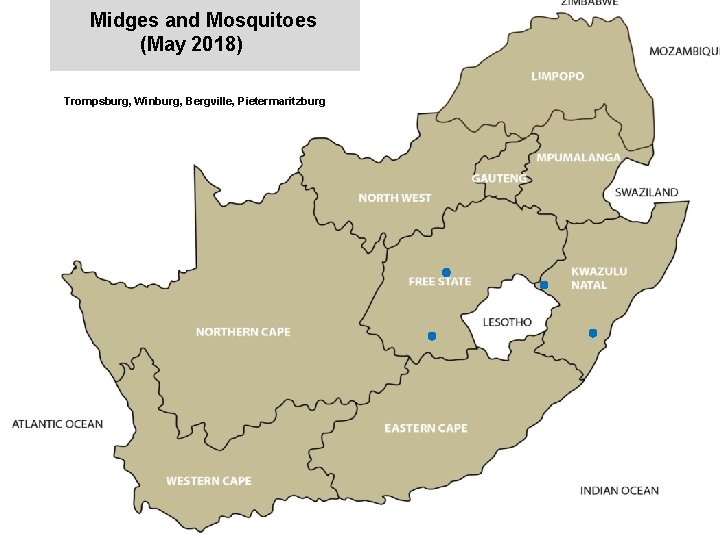 Midges and Mosquitoes (May 2018) jkccff Trompsburg, Winburg, Bergville, Pietermaritzburg 