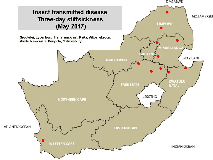 Insect transmitted disease Three-day stiffsickness (May 2017) kjkjnmn Grootvlei, Lydenburg, Hammanskraal, Reitz, Viljoenskroon, Vrede,