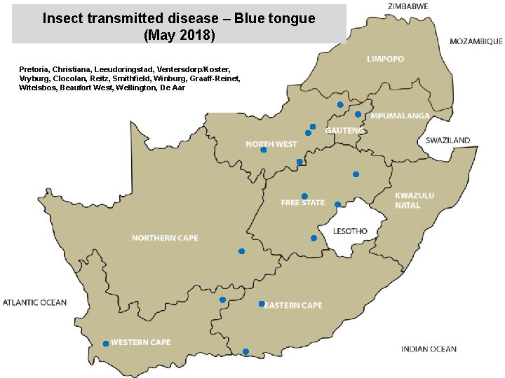 Insect transmitted disease – Blue tongue (May 2018) kjkjnmn Pretoria, Christiana, Leeudoringstad, Ventersdorp/Koster, Vryburg,