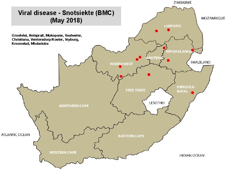 Viral disease - Snotsiekte (BMC) (May 2018) kjkjnmn Grootvlei, Nelspruit, Mokopane, Vaalwater, Christiana, Ventersdorp/Koster,