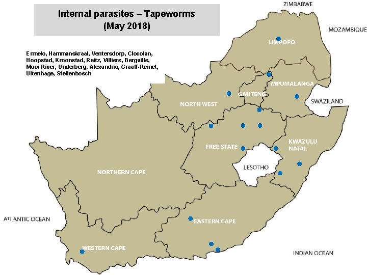 Internal parasites – Tapeworms (May 2018) jkccff Ermelo, Hammanskraal, Ventersdorp, Clocolan, Hoopstad, Kroonstad, Reitz,