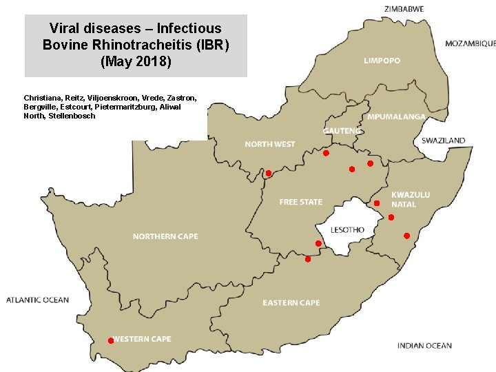 Viral diseases – Infectious Bovine Rhinotracheitis (IBR) (May 2018) kjkjnmn Christiana, Reitz, Viljoenskroon, Vrede,