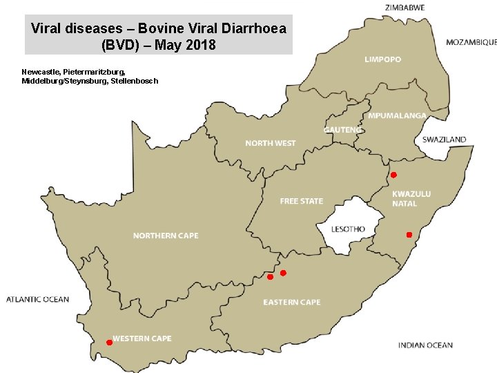 Viral diseases – Bovine Viral Diarrhoea (BVD) – May 2018 kjkjnmn Newcastle, Pietermaritzburg, Middelburg/Steynsburg,