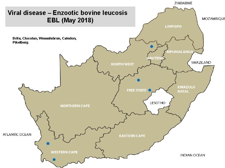 Viral disease – Enzootic bovine leucosis EBL (May 2018) kjkjnmn Brits, Clocolan, Wesselsbron, Caledon,