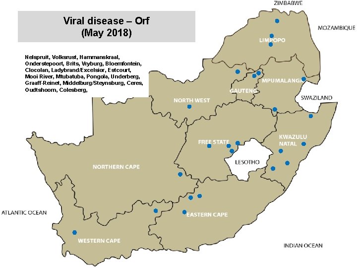 Viral disease – Orf (May 2018) kjkjnmn Nelspruit, Volksrust, Hammanskraal, Onderstepoort, Brits, Vryburg, Bloemfontein,