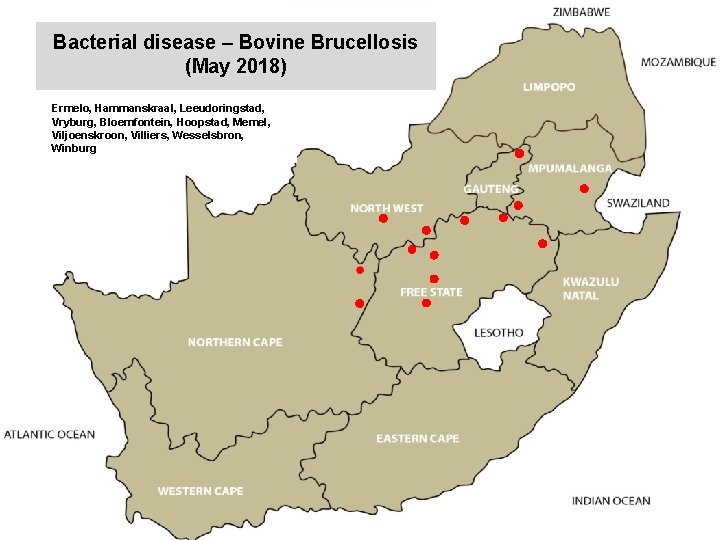 Bacterial disease – Bovine Brucellosis (May 2018) kjkjnmn Ermelo, Hammanskraal, Leeudoringstad, Vryburg, Bloemfontein, Hoopstad,