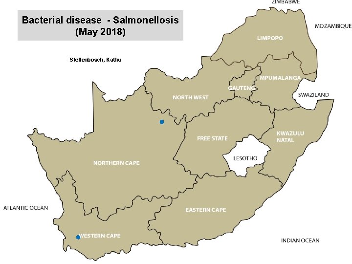 Bacterial disease - Salmonellosis (May 2018) kjkjnmn Stellenbosch, Kathu 