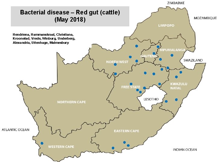 Bacterial disease – Red gut (cattle) (May 2018) kjkjnmn Hendriena, Hammanskraal, Christiana, Kroonstad, Vrede,