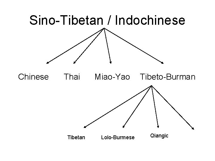 Sino-Tibetan / Indochinese Chinese Thai Tibetan Miao-Yao Lolo-Burmese Tibeto-Burman Qiangic 