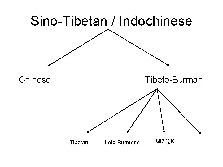 Sino-Tibetan / Indochinese Chinese Tibeto-Burman Tibetan Lolo-Burmese Qiangic 