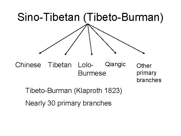 Sino-Tibetan (Tibeto-Burman) Qiangic Chinese Tibetan Lolo. Burmese Tibeto-Burman (Klaproth 1823) Nearly 30 primary branches