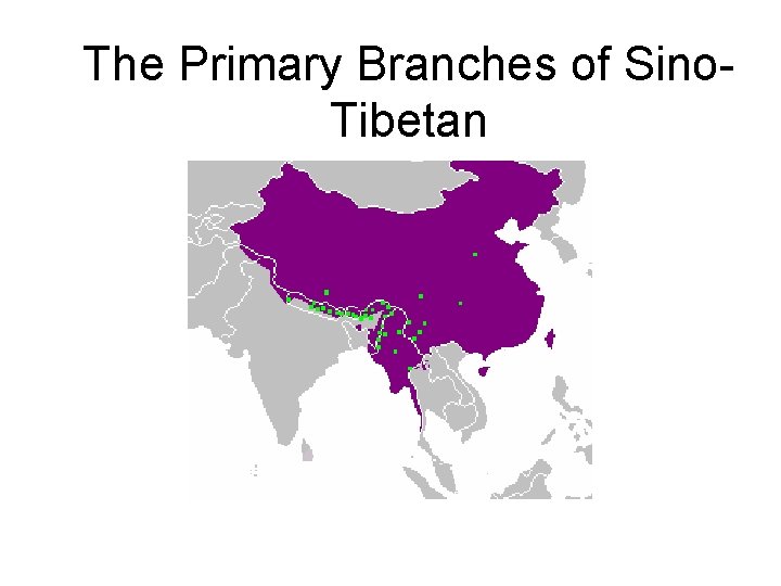 The Primary Branches of Sino. Tibetan 