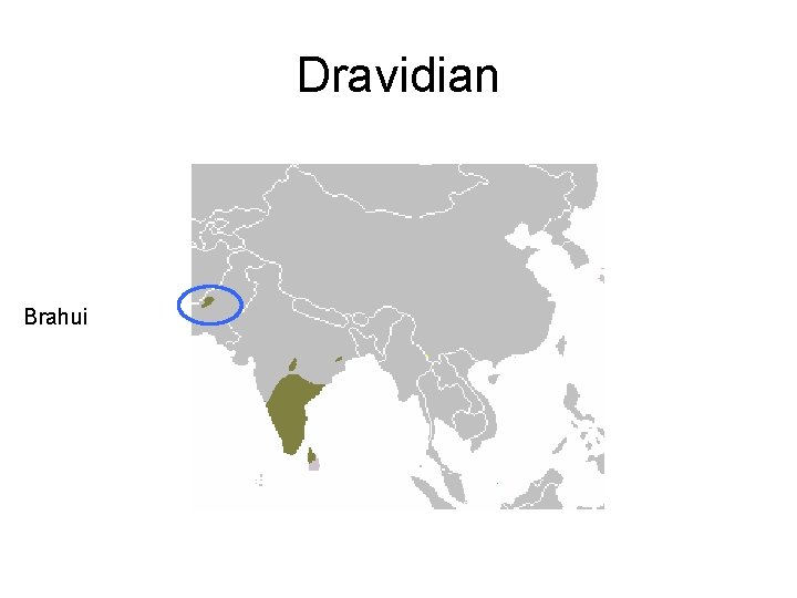 Dravidian Brahui 