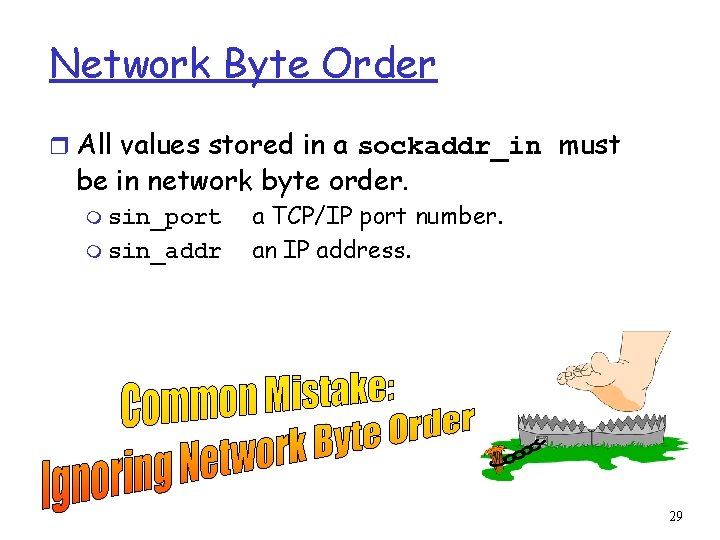 Network Byte Order r All values stored in a sockaddr_in must be in network