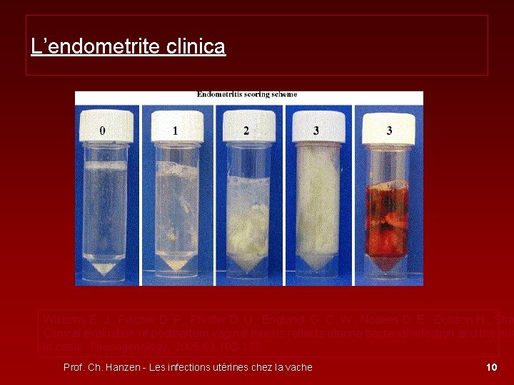 L’endometrite clinica Williams E. J. , Fischer D. P. , Pfeiffer D. U. ,