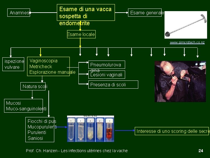 Anamnesi Esame di una vacca sospetta di endometrite Esame generale Esame locale www. simcrotech.